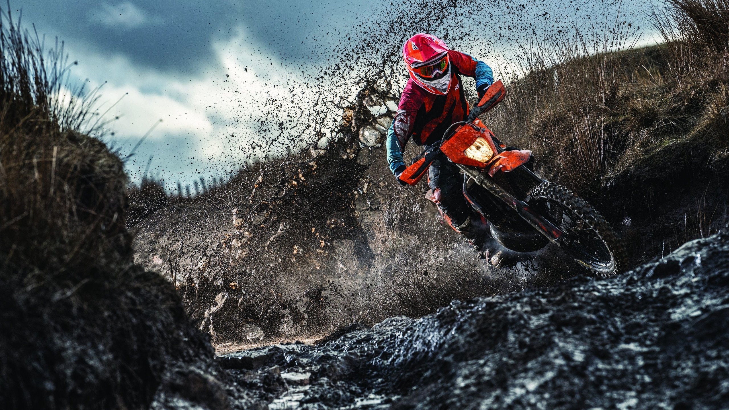 高校体育专业课程体系改革研究，高校体育专业课程体系改革研究方向